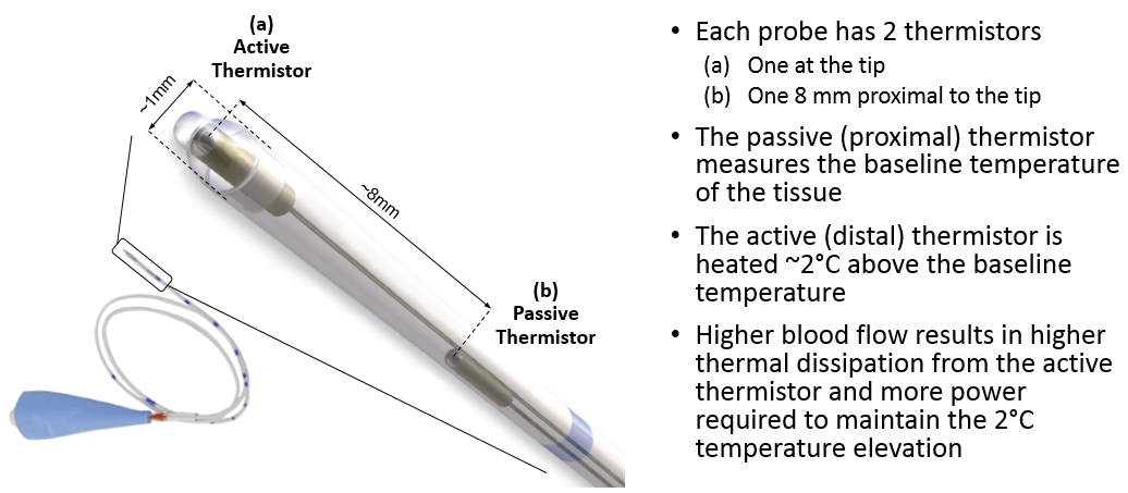 QFlow 500 Probe dual-thermistor close-up